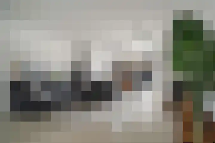 Haya van Somerenlaan 6 Pijnacker foto 3