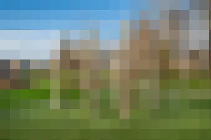 Haya van Somerenlaan 6 Pijnacker thumbnail 32