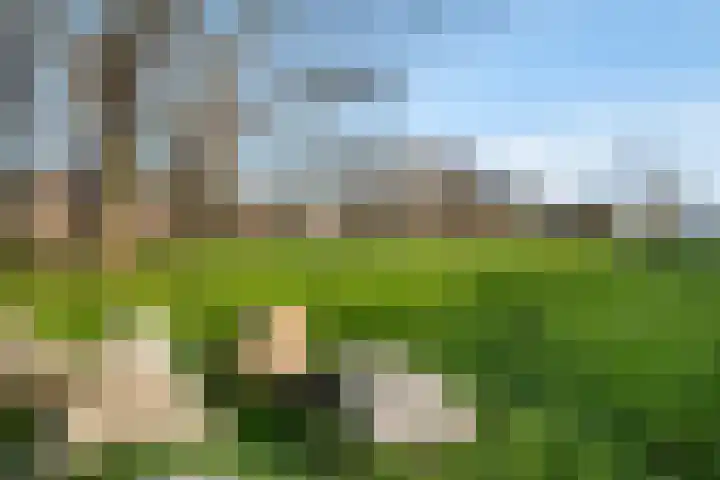 Haya van Somerenlaan 6 Pijnacker thumbnail 33