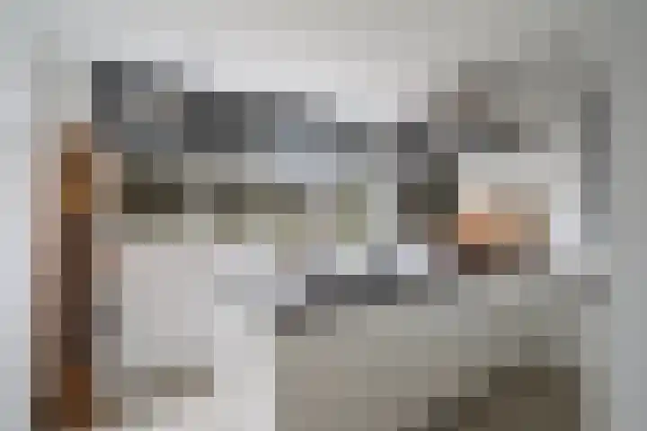 Haya van Somerenlaan 6 Pijnacker thumbnail 4