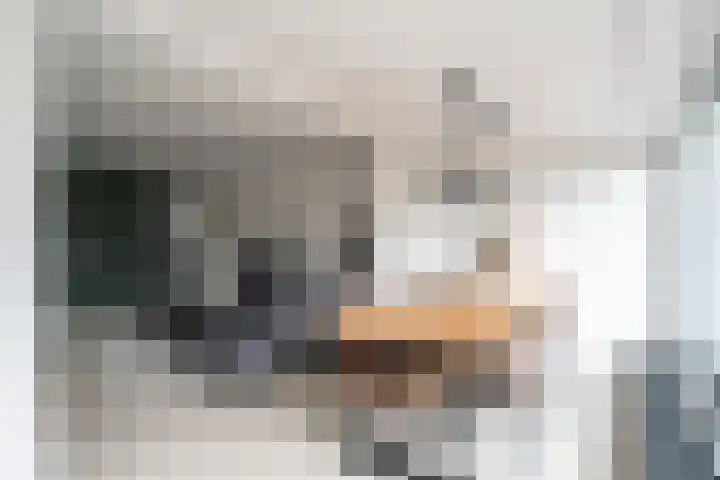 Haya van Somerenlaan 6 Pijnacker thumbnail 6