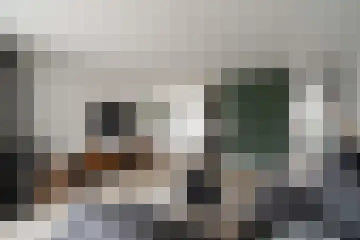 Haya van Somerenlaan 6 Pijnacker thumbnail 8