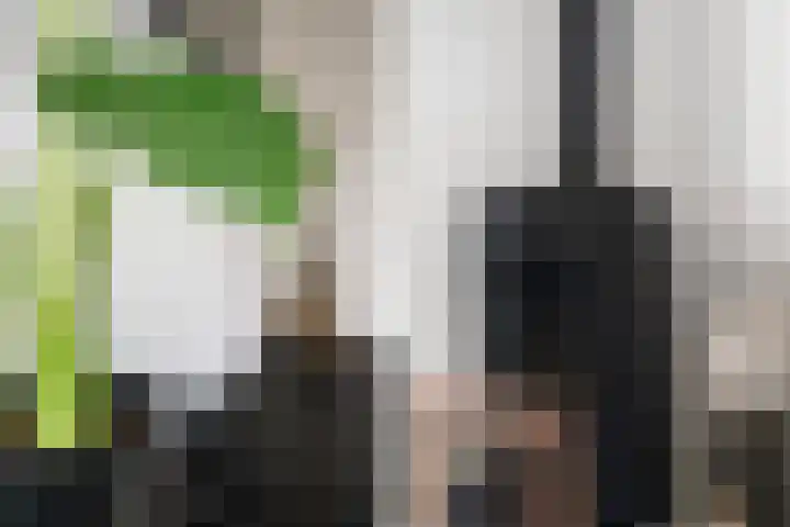 Haya van Somerenlaan 6 Pijnacker thumbnail 9