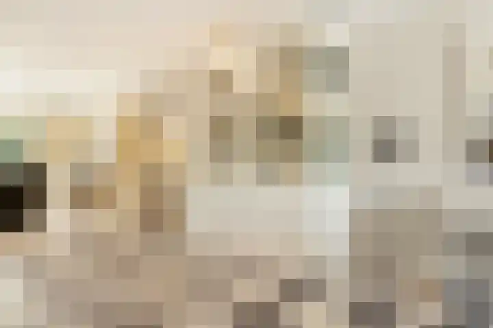 Haya van Somerensingel 107 Hoofddorp thumbnail 12