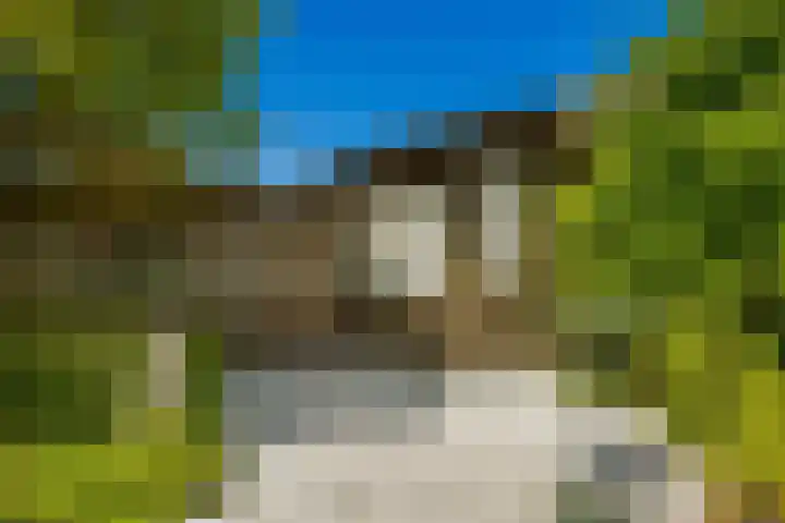 Haya van Somerensingel 107 Hoofddorp thumbnail 17