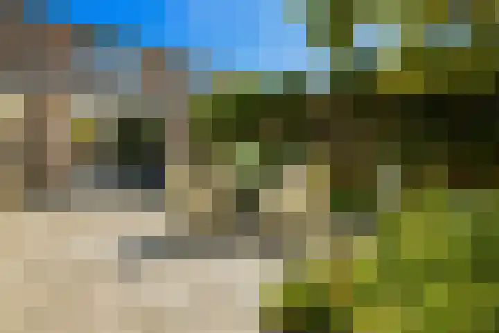 Haya van Somerensingel 107 Hoofddorp thumbnail 18