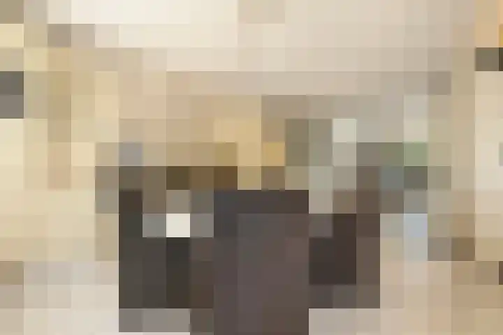 Haya van Somerensingel 107 Hoofddorp thumbnail 29