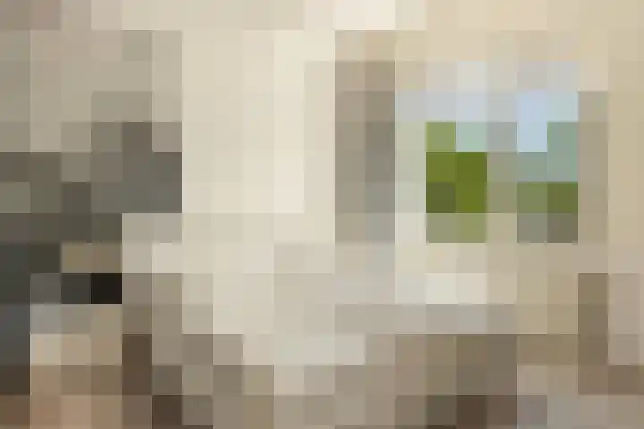 Haya van Somerensingel 107 Hoofddorp thumbnail 37