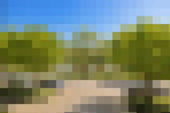 Haya van Somerensingel 107 Hoofddorp thumbnail 49