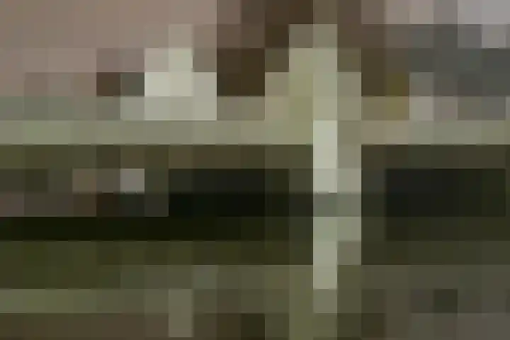 Haya van Somerensingel 107 Hoofddorp thumbnail 59