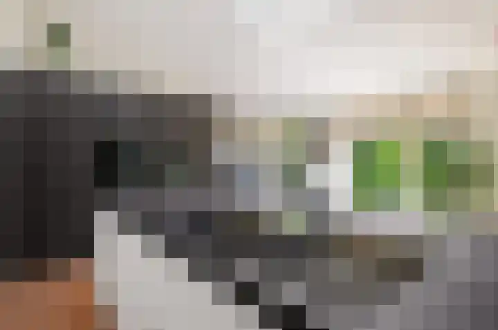 Haya van Somerensingel 141 Hoofddorp thumbnail 15