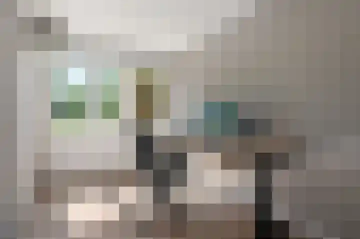 Haya van Somerensingel 141 Hoofddorp thumbnail 16