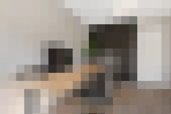 Haya van Somerensingel 141 Hoofddorp thumbnail 17