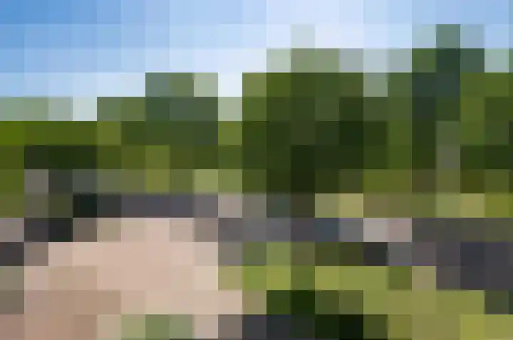 Haya van Somerensingel 141 Hoofddorp thumbnail 29