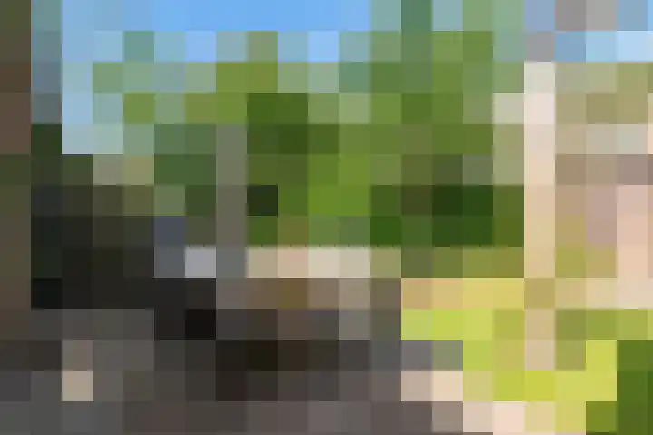Haya van Somerensingel 141 Hoofddorp thumbnail 41