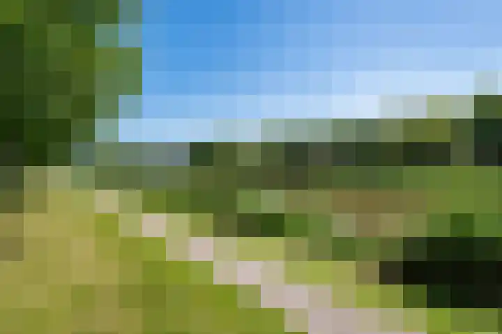 Haya van Somerensingel 141 Hoofddorp thumbnail 44