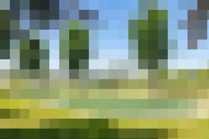 Haya van Somerensingel 141 Hoofddorp thumbnail 47