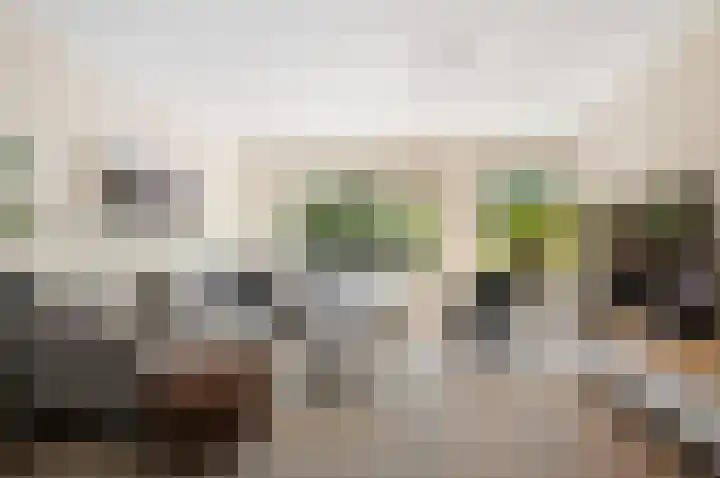 Haya van Somerensingel 141 Hoofddorp thumbnail 5