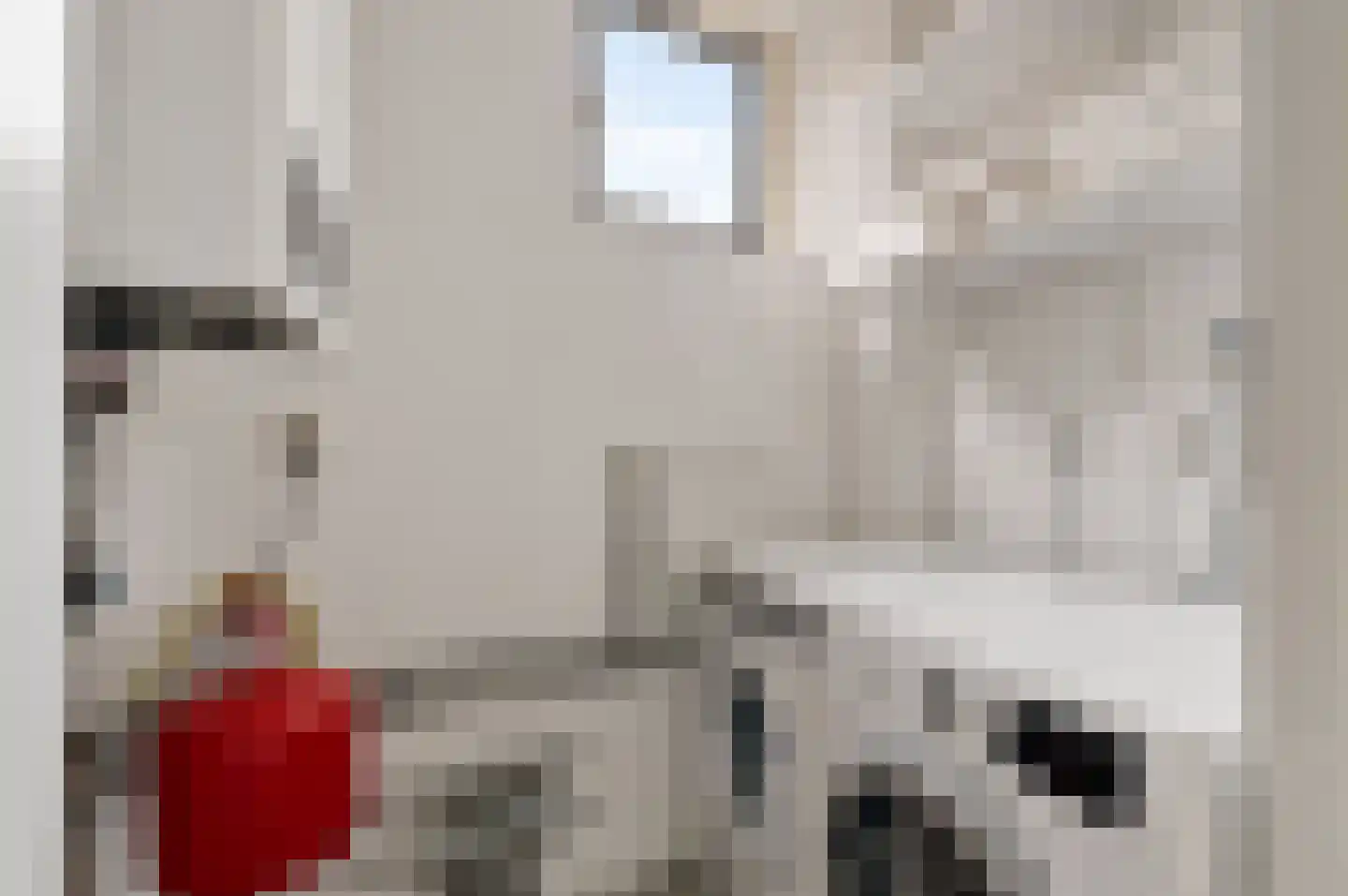Haya van Somerensingel 143 Hoofddorp thumbnail 24