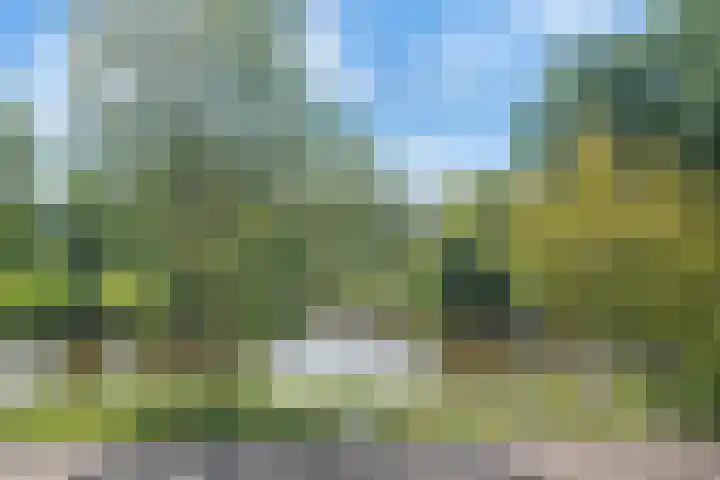 Haya van Somerensingel 57 Hoofddorp thumbnail 22