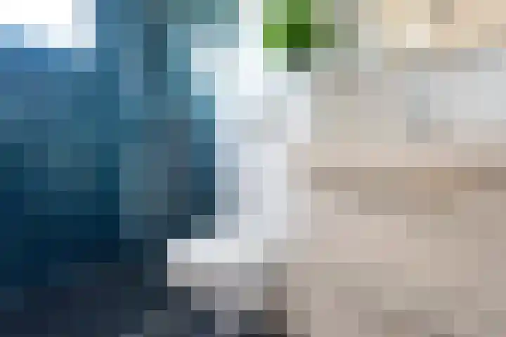 Haya van Somerensingel 57 Hoofddorp thumbnail 28