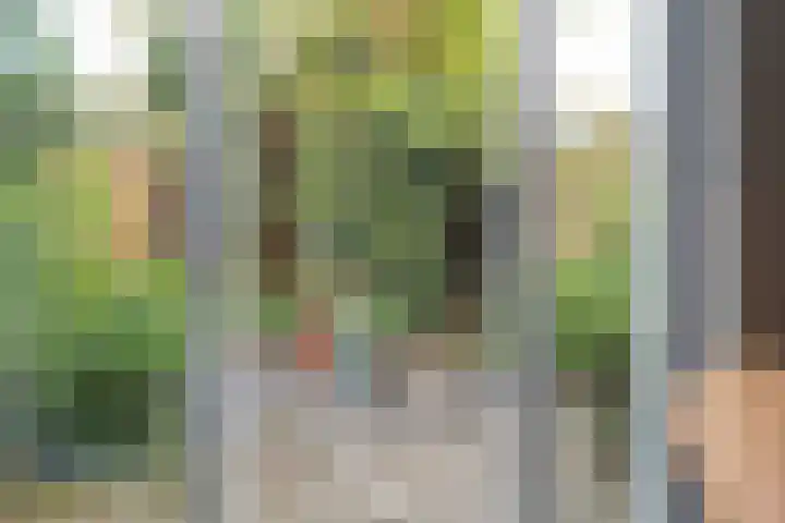 Haya van Somerensingel 57 Hoofddorp thumbnail 30