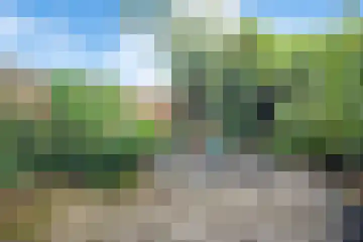 Haya van Somerensingel 57 Hoofddorp thumbnail 31
