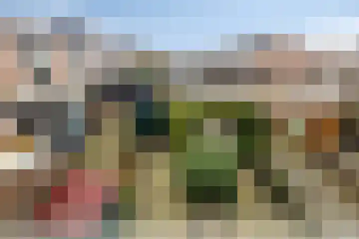 Haya van Somerensingel 95 Hoofddorp thumbnail 18