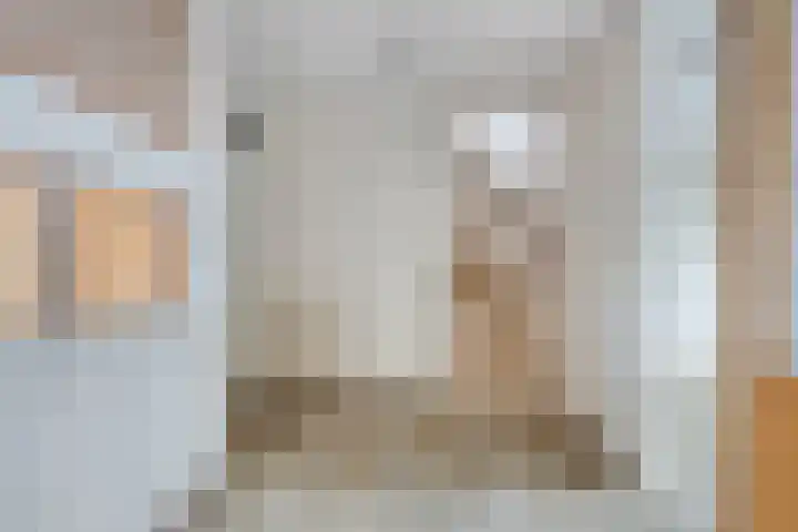 Haya van Somerensingel 95 Hoofddorp thumbnail 9