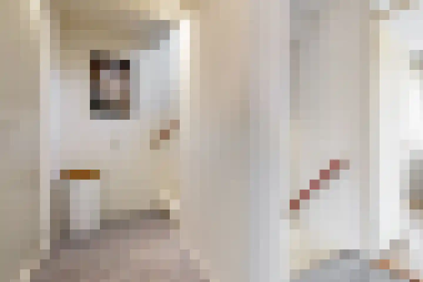 Haya van Somerenstraat 25 Kudelstaart thumbnail 15