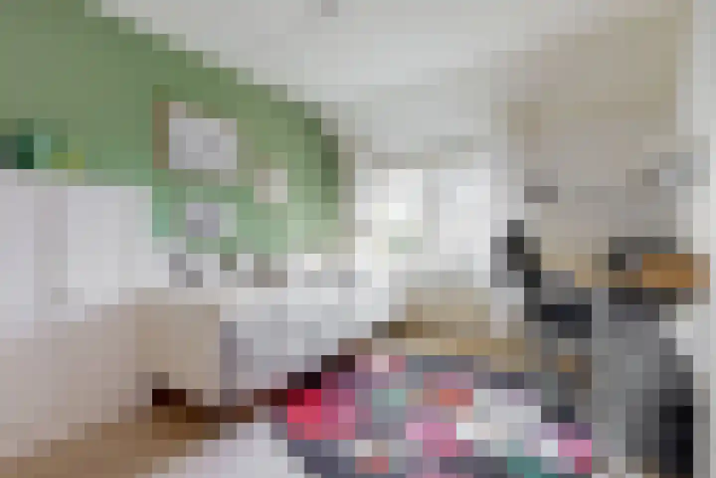Haya van Somerenstraat 25 Kudelstaart thumbnail 19