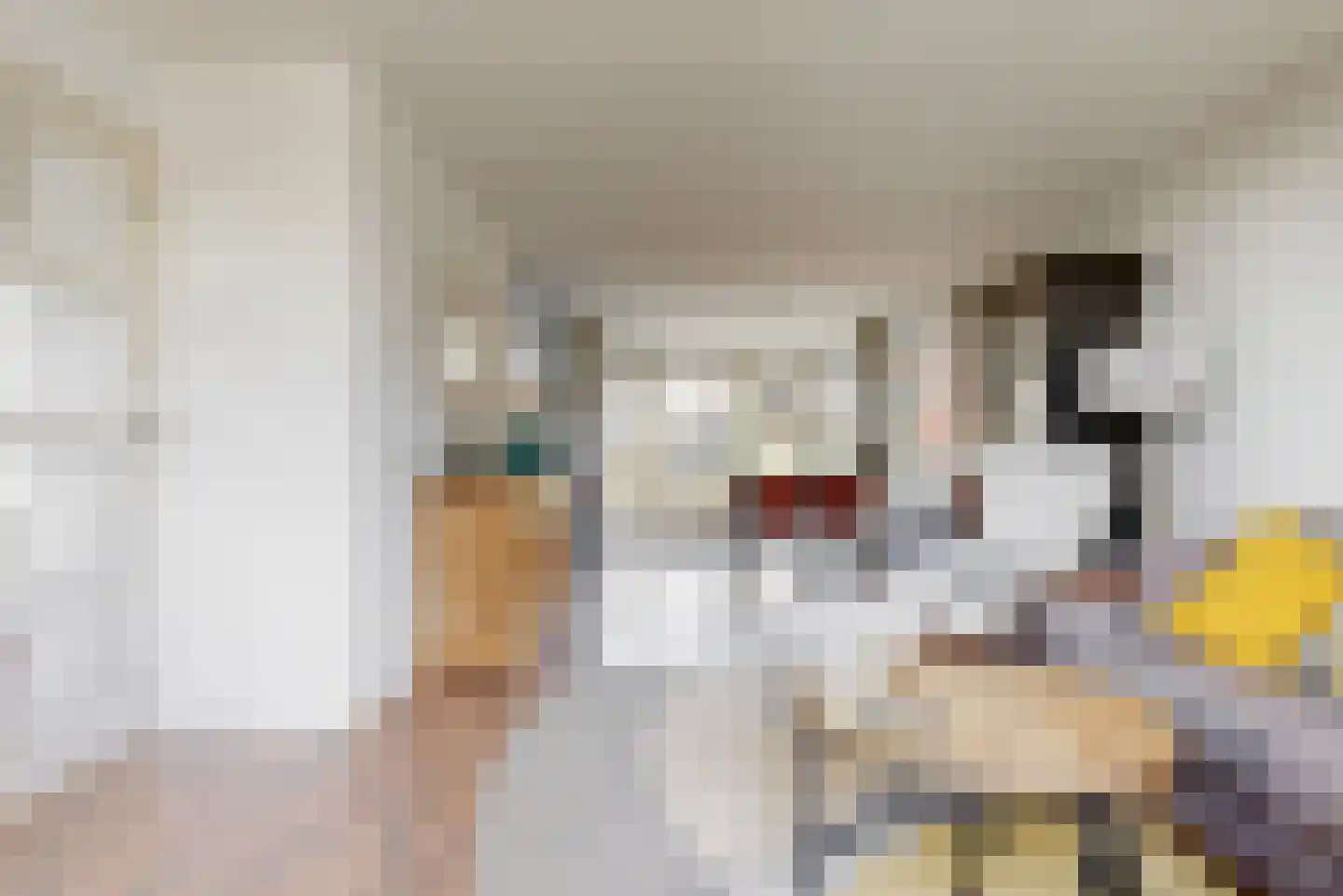Haya van Somerenstraat 25 Kudelstaart thumbnail 8