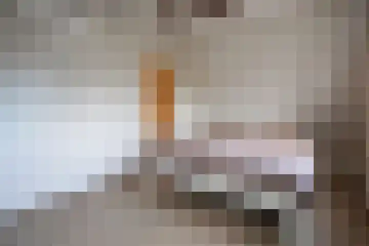 Haya van Somerenstraat 75 Kudelstaart thumbnail 16