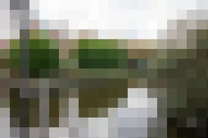 Haya van Somerenstraat 75 Kudelstaart thumbnail 34
