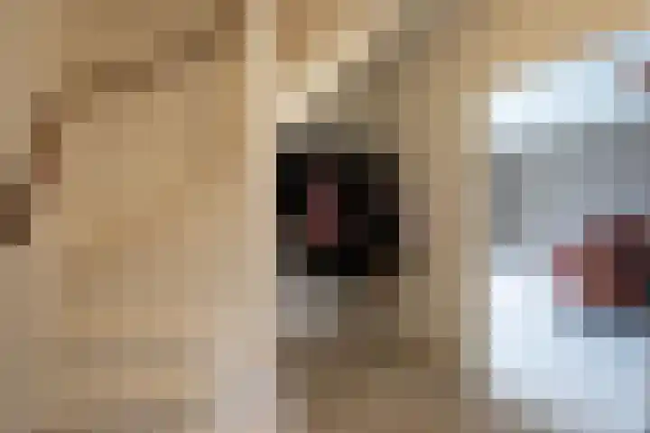 Haya van Somerenstraat 75 Kudelstaart thumbnail 8