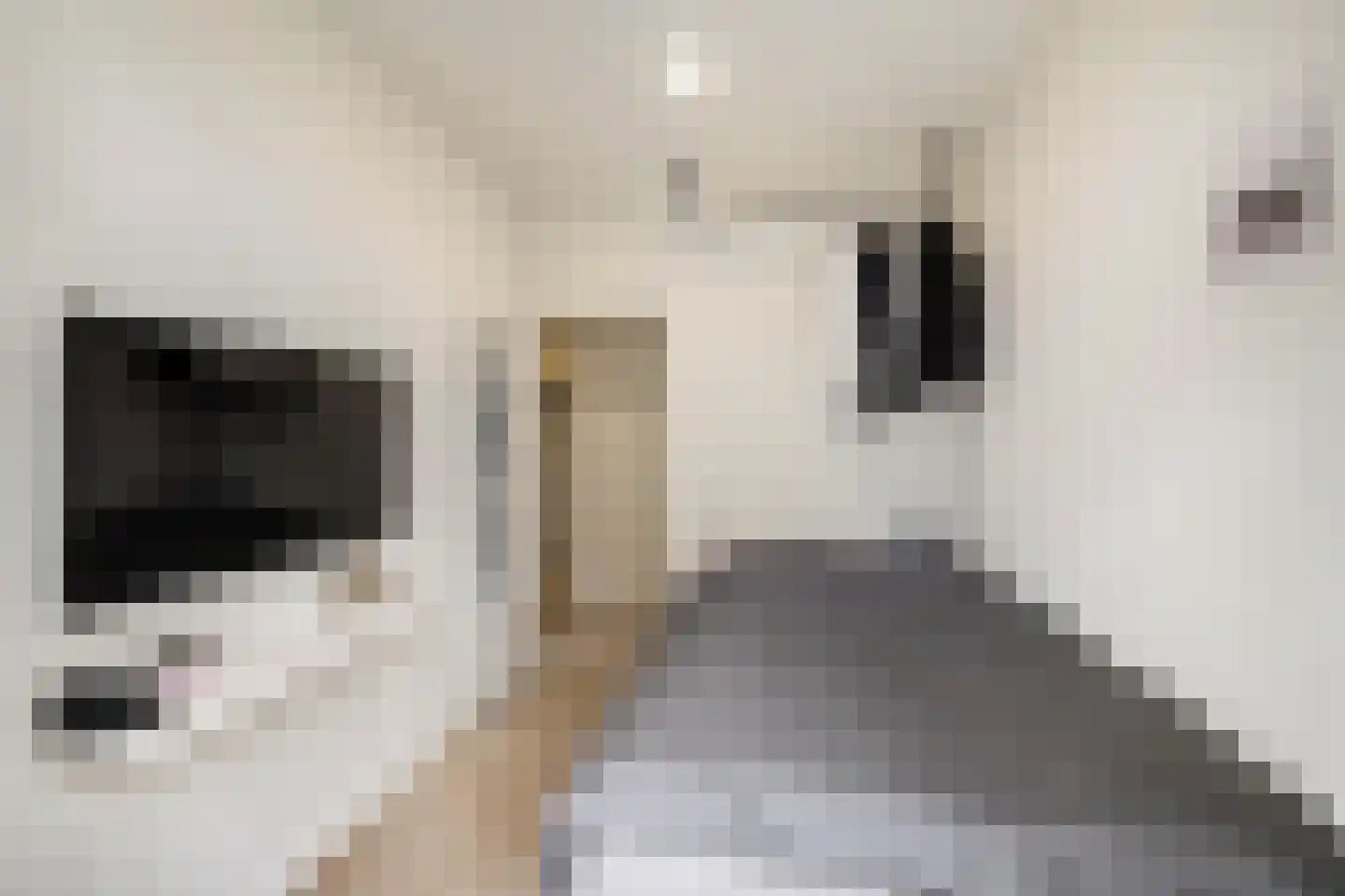 Haydnlaan 1 a Groningen thumbnail 29