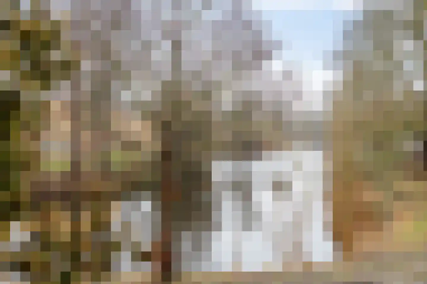 Haydnlaan 1 a Groningen thumbnail 36