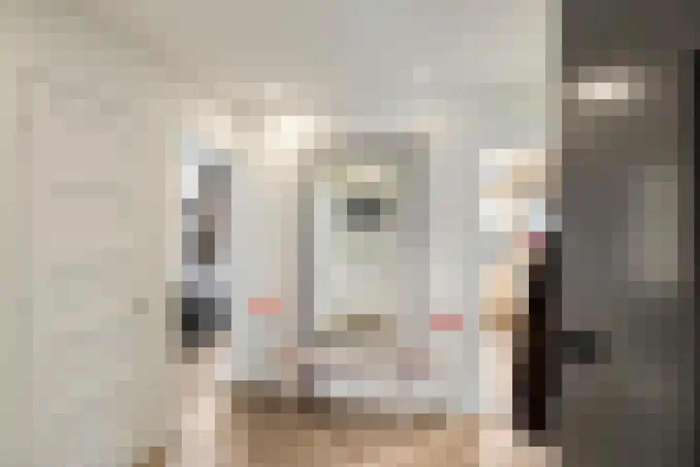 Haydnlaan 1 a Groningen thumbnail 5