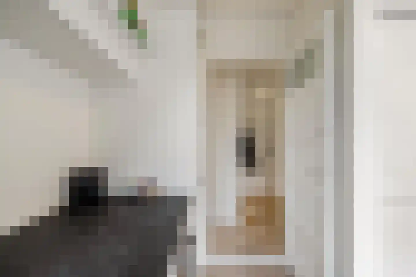 Haydnlaan 1 a Groningen thumbnail 9