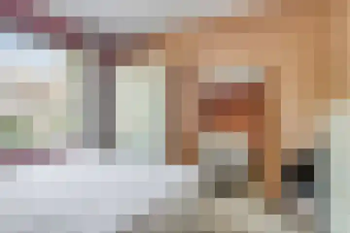 Haydnlaan 101 Groningen thumbnail 13