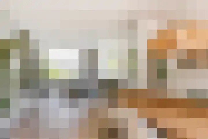Haydnlaan 101 Groningen thumbnail 16