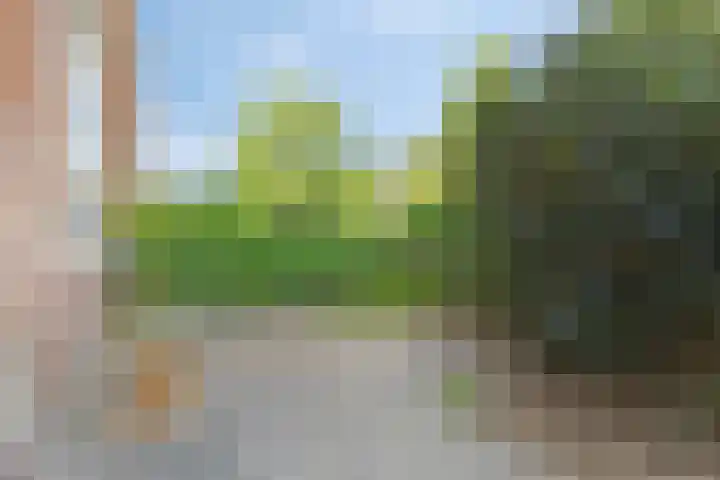 Haydnlaan 101 Groningen thumbnail 34