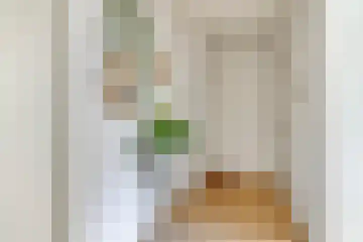 Haydnlaan 101 Groningen thumbnail 5