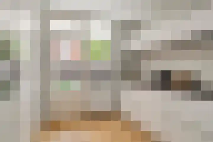 Haydnlaan 101 Groningen thumbnail 8