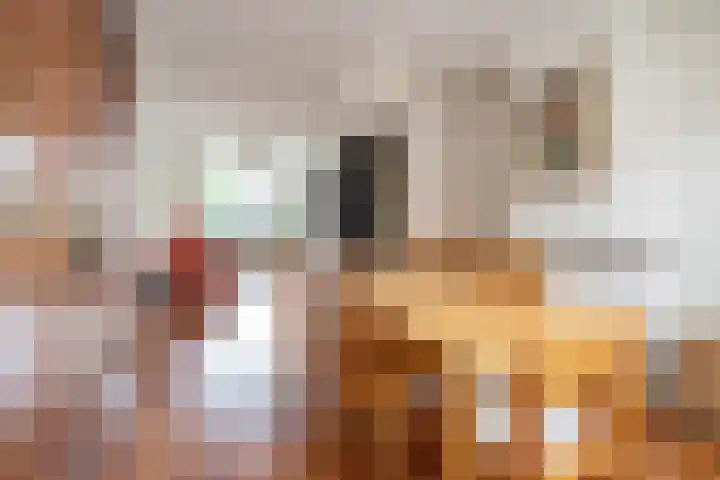 Haydnlaan 107 Groningen thumbnail 12