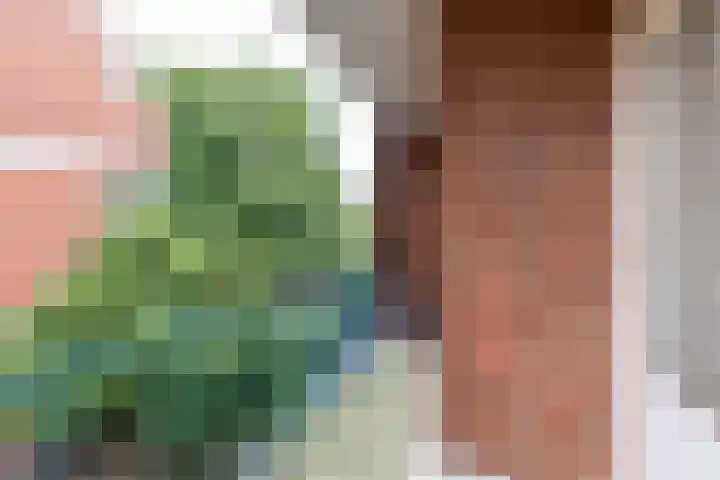 Haydnlaan 107 Groningen thumbnail 17