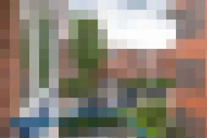 Haydnlaan 107 Groningen thumbnail 19