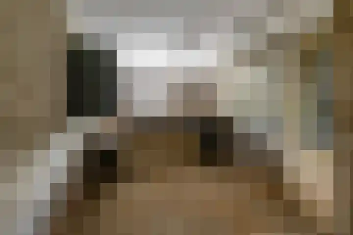 Haydnlaan 107 Groningen thumbnail 29