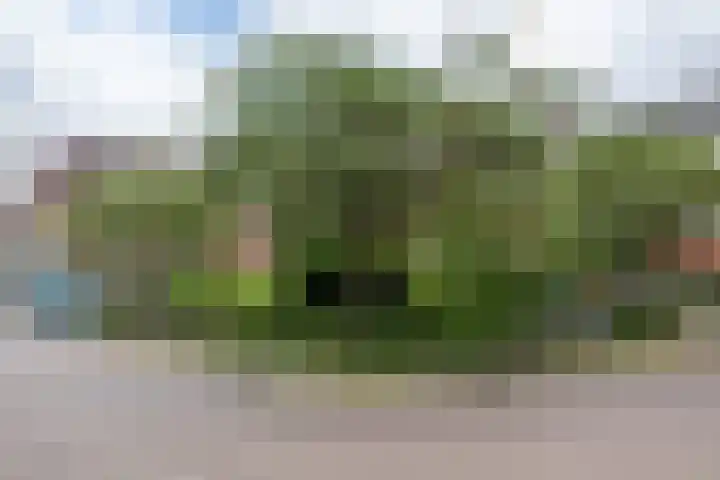 Haydnlaan 107 Groningen thumbnail 33