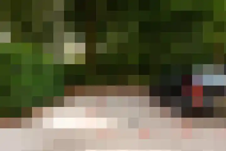 Haydnlaan 11 Baarn thumbnail 22